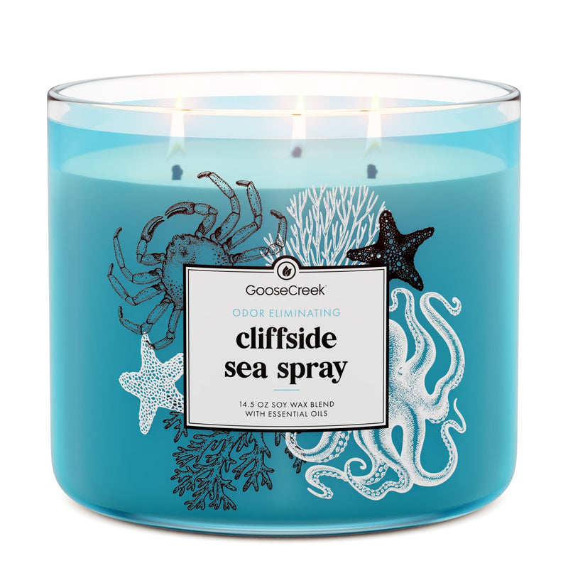 Cliffside Sea Spray Odor Eliminating 3-Wick Candle (S1UV8)