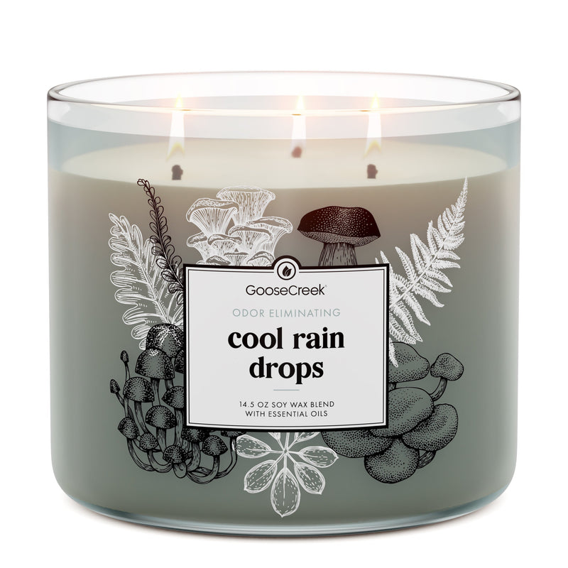 Cool Rain Drops Odor Eliminating 3-Wick Candle (S1QP8)